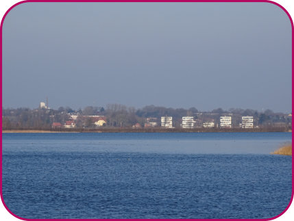 Blick über die Schlei -1